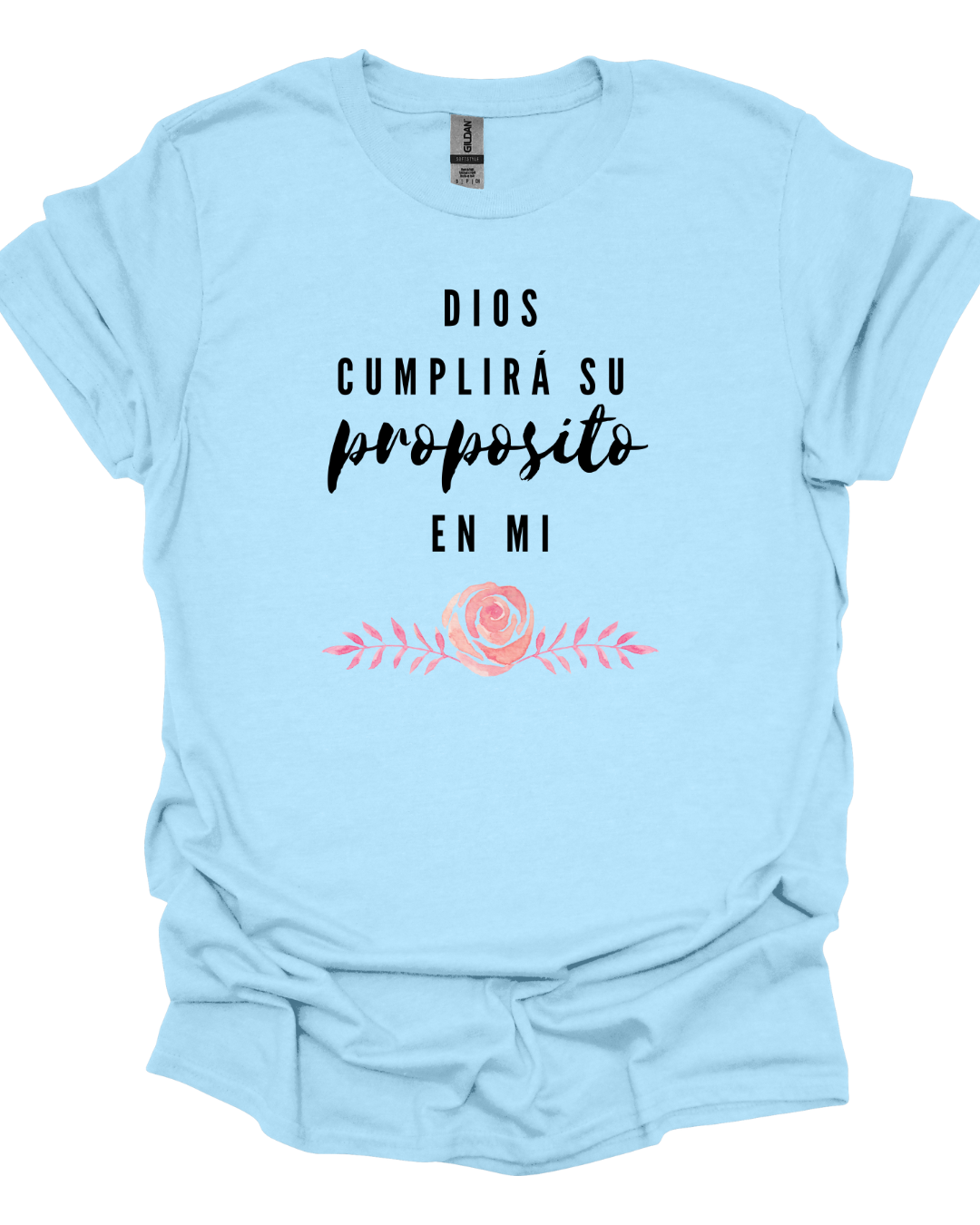 Dios Cumplira Su Proposito