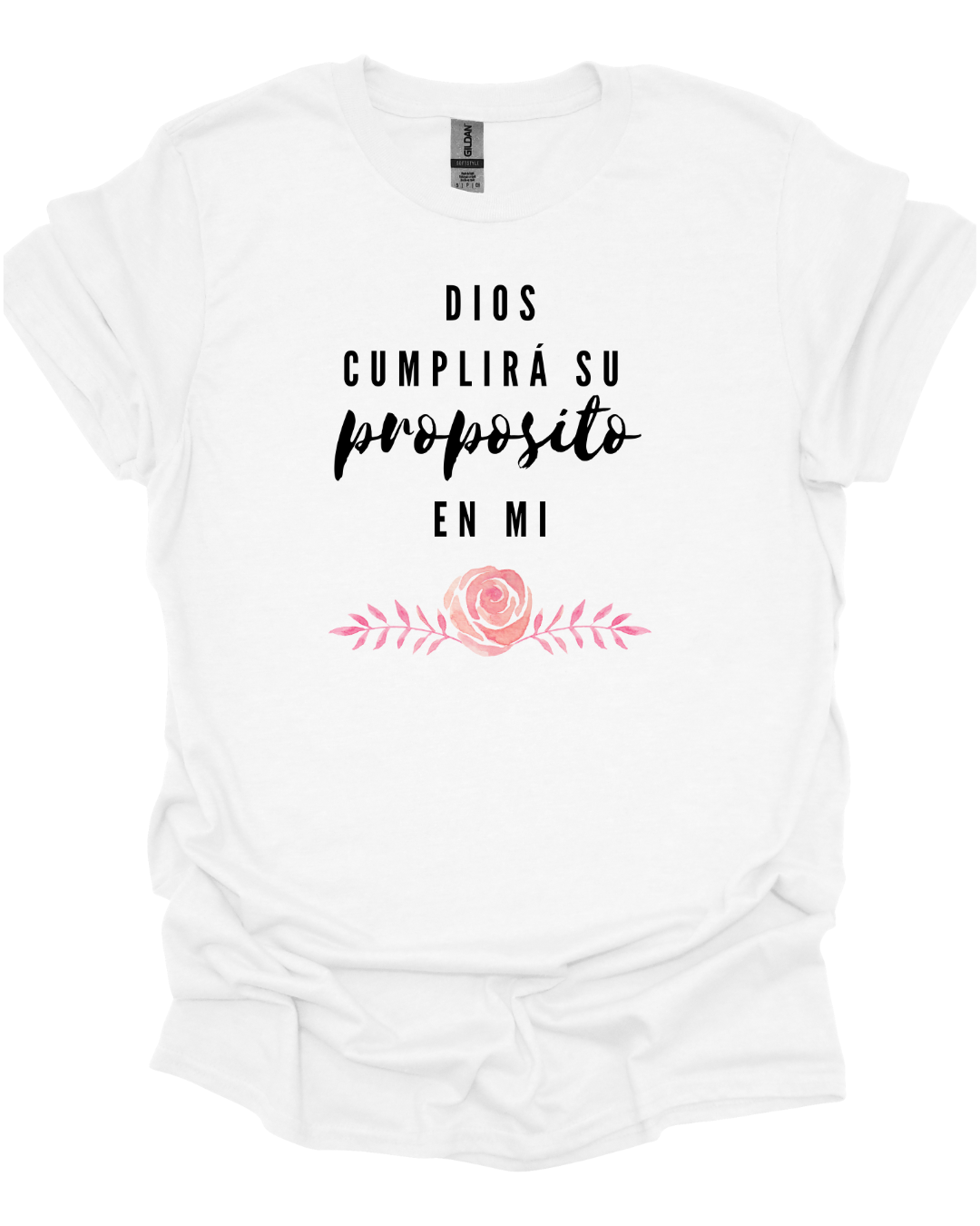 Dios Cumplira Su Proposito